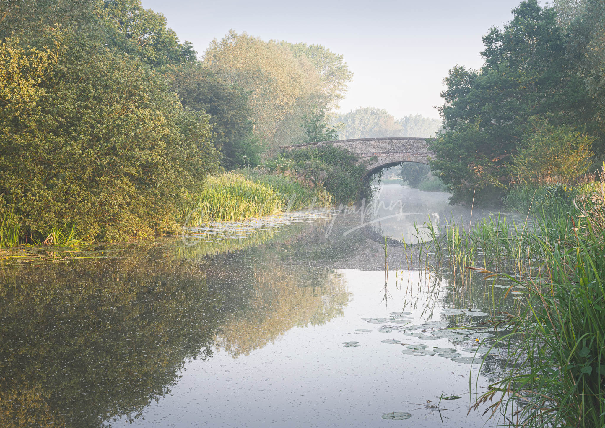 Chapmans Bridge Fresh Greens
