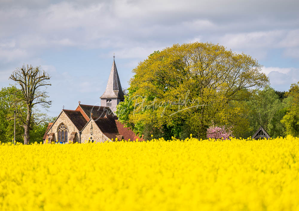 St Peter’s Church, Great Totham Against a Field of Yellow